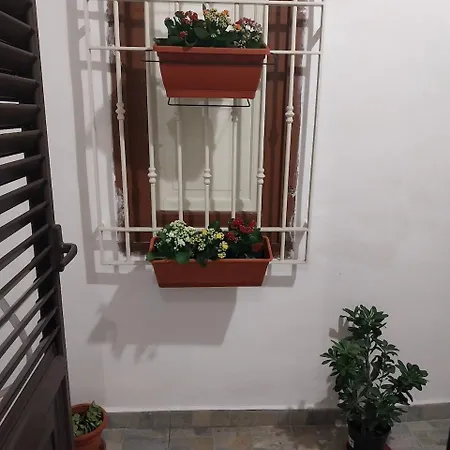 Myrica House-3